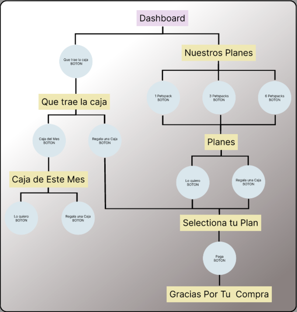 Information Architecture